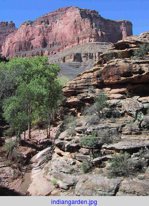indiangarden.jpg