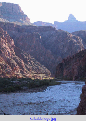 kaibabbridge.jpg