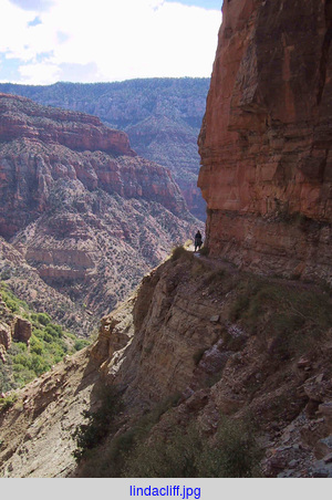 lindacliff.jpg